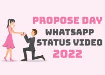 Propose Day Whatsapp Status Video 2022