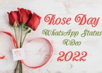Rose Day WhatsApp status video 2022