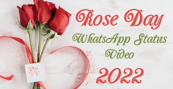 Rose Day WhatsApp status video 2022