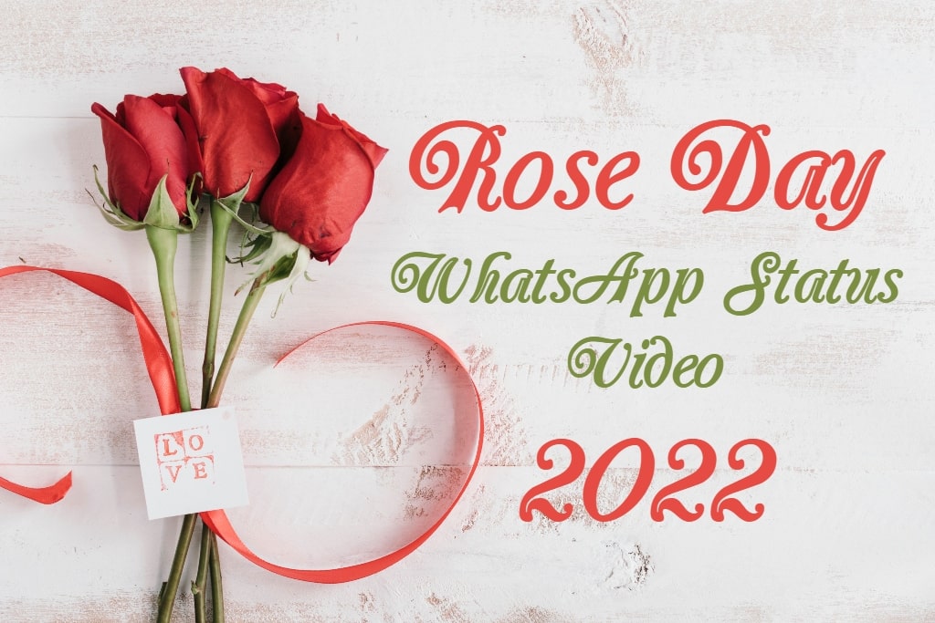Rose Day WhatsApp status video 2022